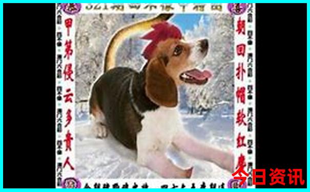 北海旅游攻略自由行路线推荐